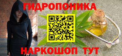 СК Рязань