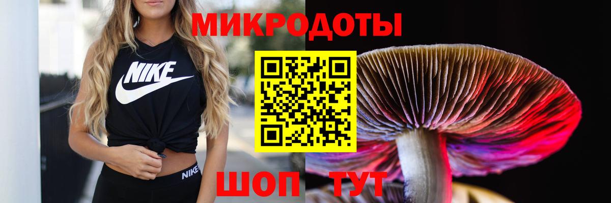 Псилоцибиновые грибы Новошахтинск