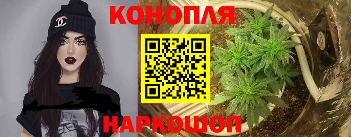 Бошки марихуана AK-47  Конопля MAZAR  Вход с VPN  Конопля AK-47  Новошахтинск 